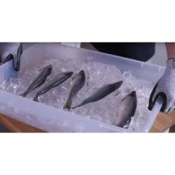 CutShield X-Large Grey Nitirle Coated Grip Cut Slash Puncture Resistant Gloves -Work Gloves Shop g f products work gloves 22600xl d4 1000