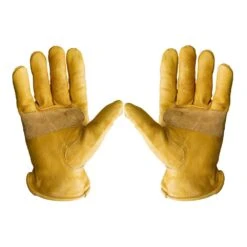 Premium Genuine Cowhide Medium Leather Gloves With Reinforced Patch Palm (3-Pair) -Work Gloves Shop g f products work gloves 6203m 3 1f 1000